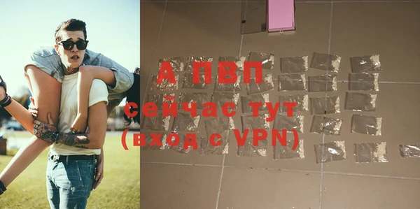 тгк Абаза