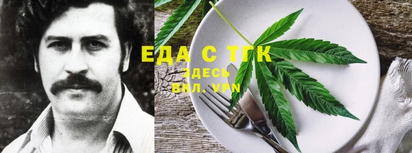 тгк Абаза