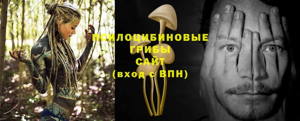 хмурый Абинск