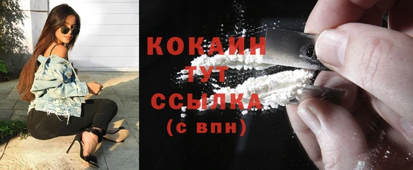 тгк Абаза