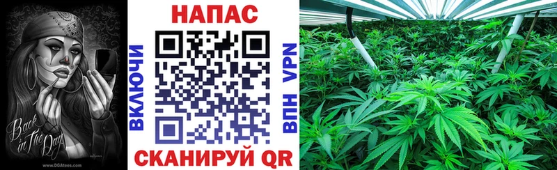 Бошки Шишки Amnesia  ссылка на мегу ссылка  Цимлянск 
